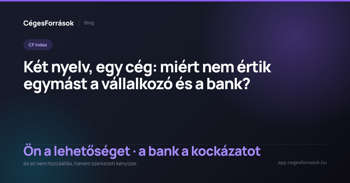 A vállalkozó és a bank két különböző nyelve