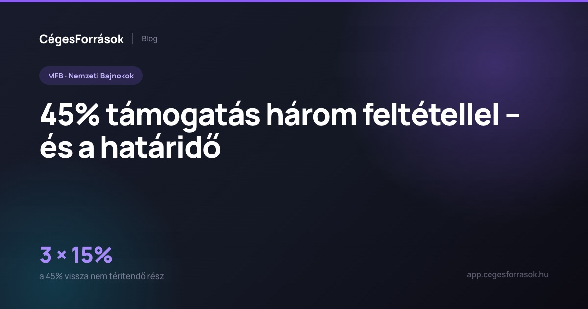 MFB Nemzeti Bajnokok – a támogatás feltételei és a beadási határidő