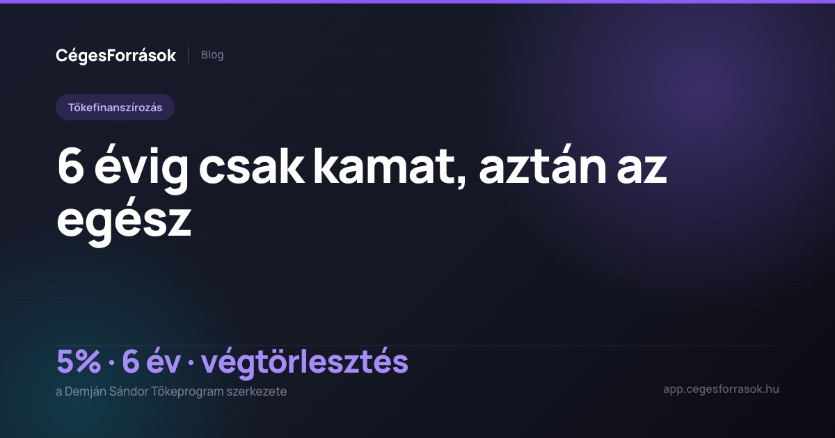 Demján Sándor Tőkeprogram